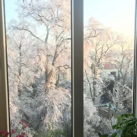 Seezauber- Gemütliche Ferienwohnung, Privatparkplatz, Cospudener Apartment *