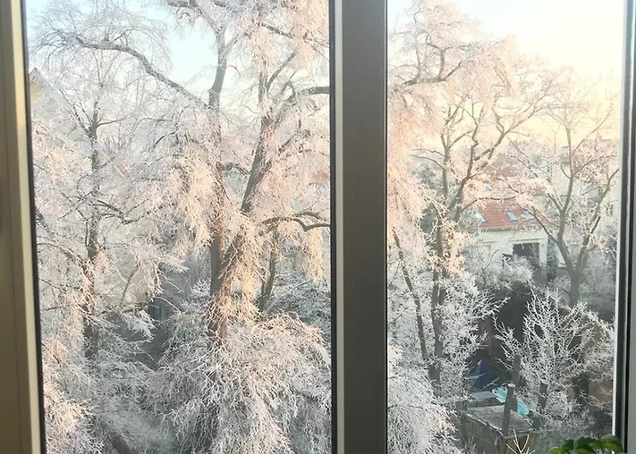 Seezauber- Gemuetliche Ferienwohnung, Privatparkplatz, Cospudener Apartment *